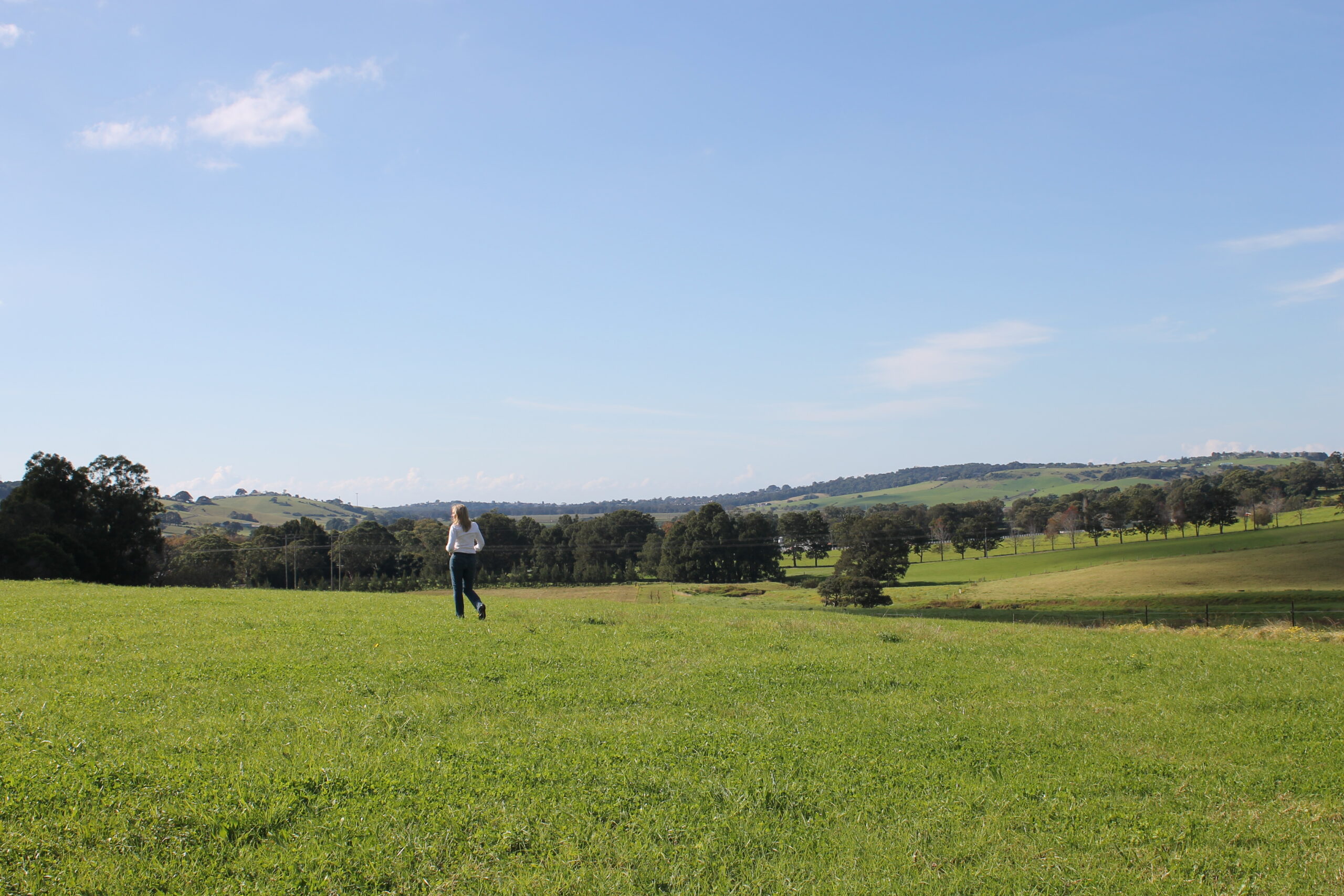 Golden Valley Jamberoo lots for sale