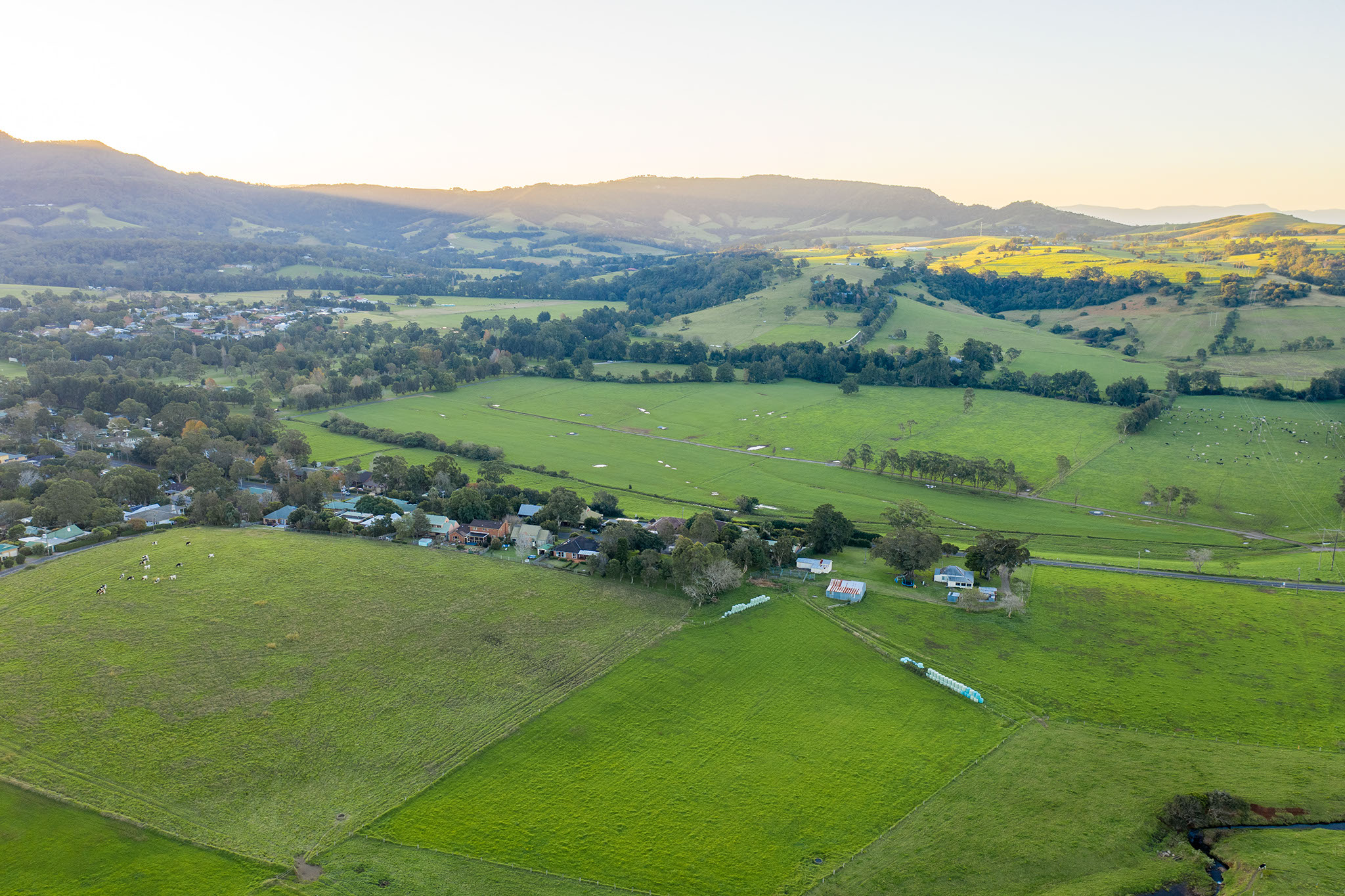 Golden Valley Jamberoo